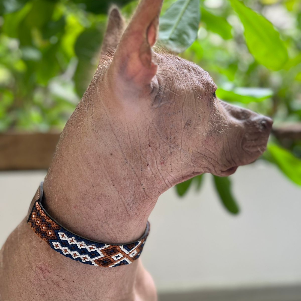 COLLAR TAMAYO