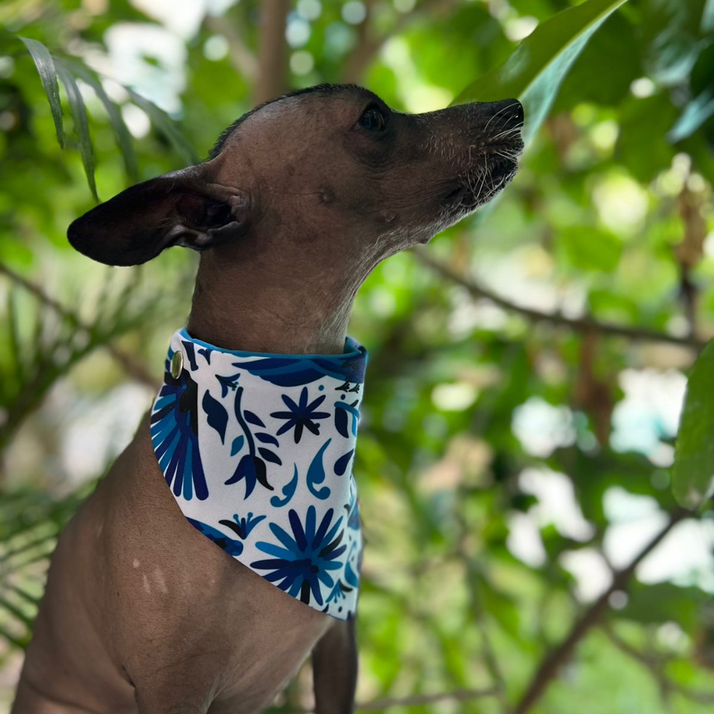 BANDANA TENANGO AZUL