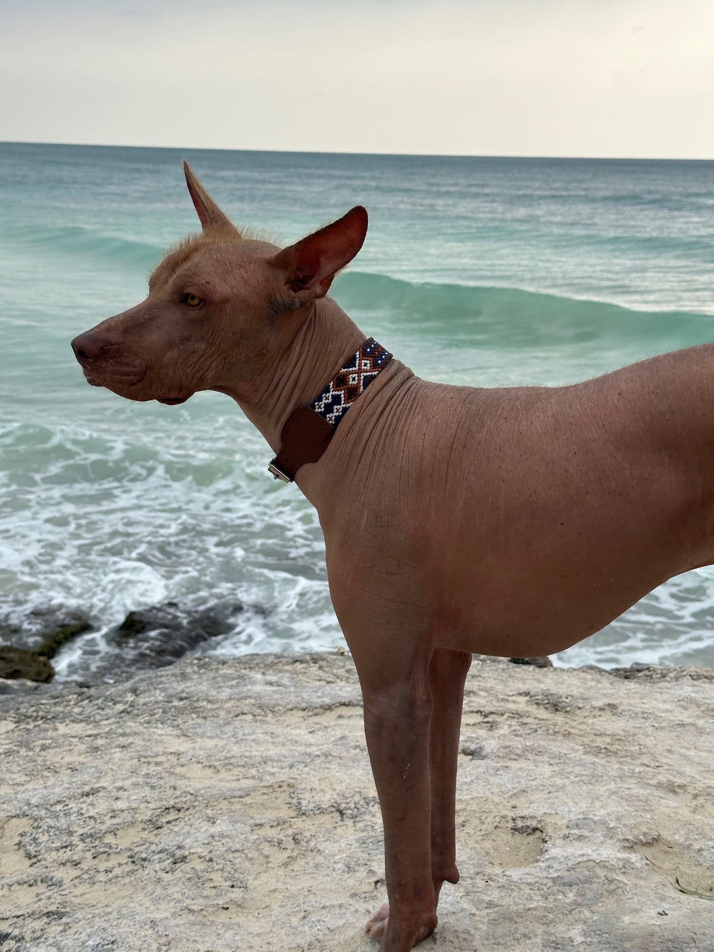 COLLAR TAMAYO