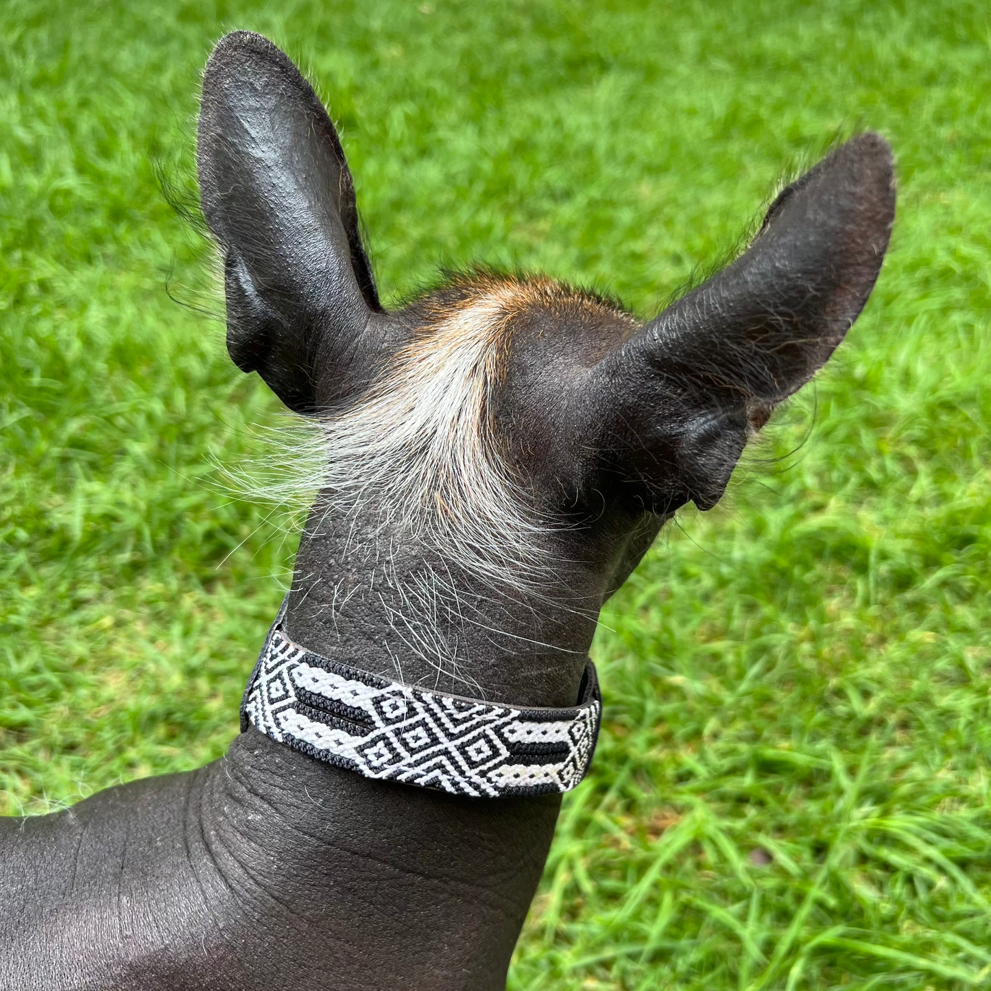 COLLAR ISLA BLANCA