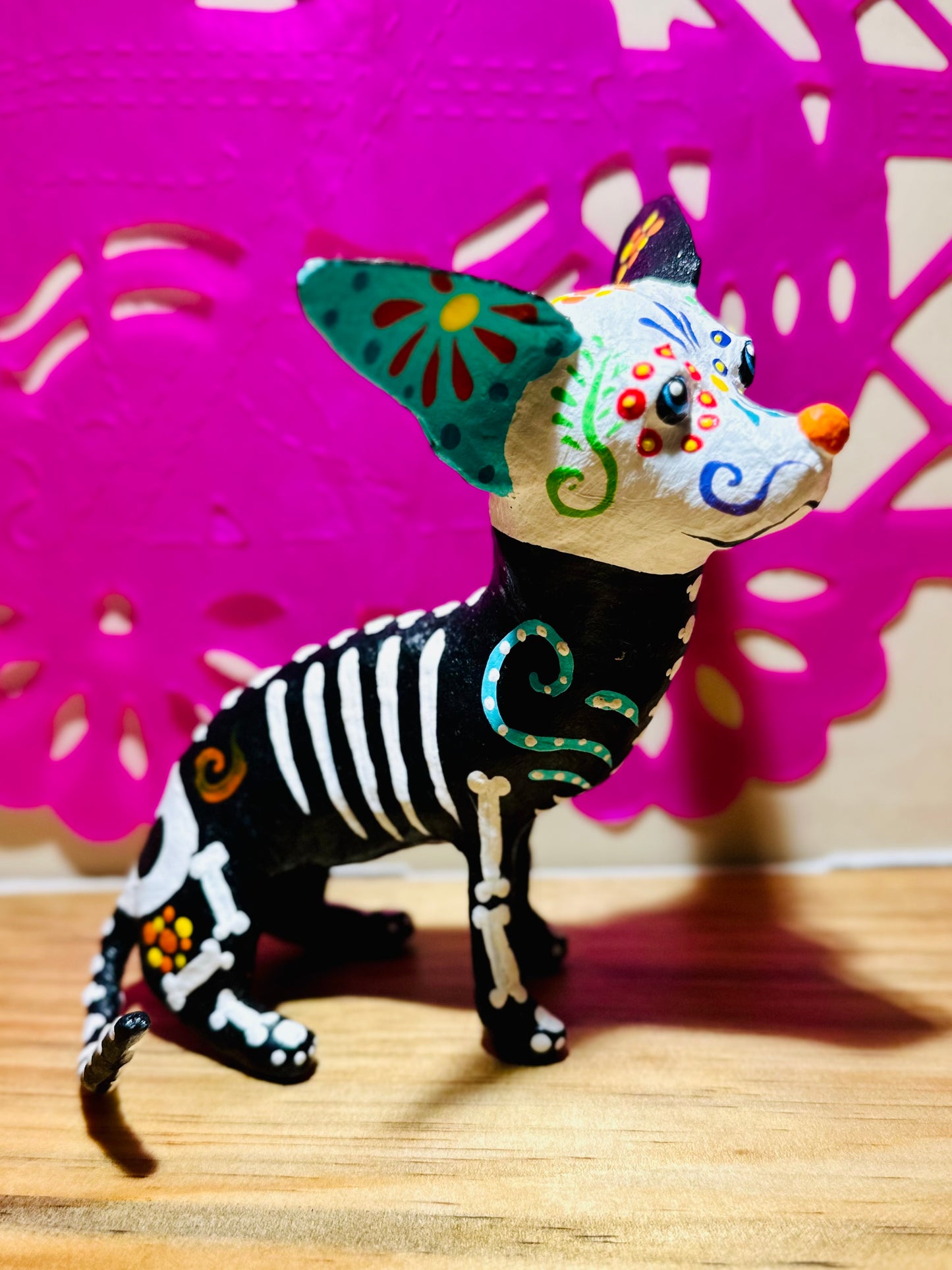 XOLO CALAVERITA
