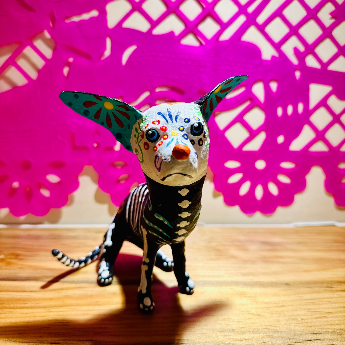 XOLO CALAVERITA