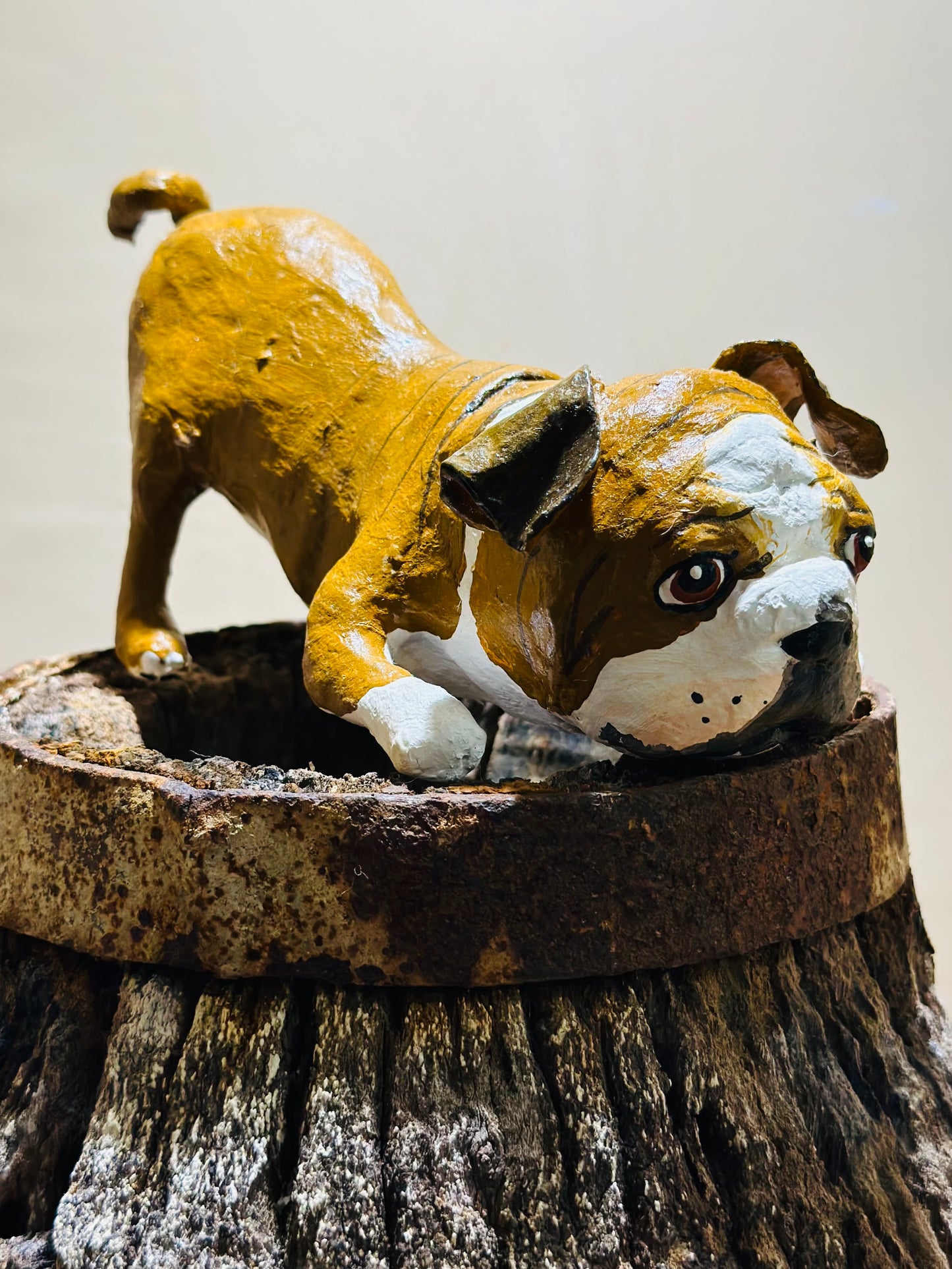 BULLDOG YOGUI