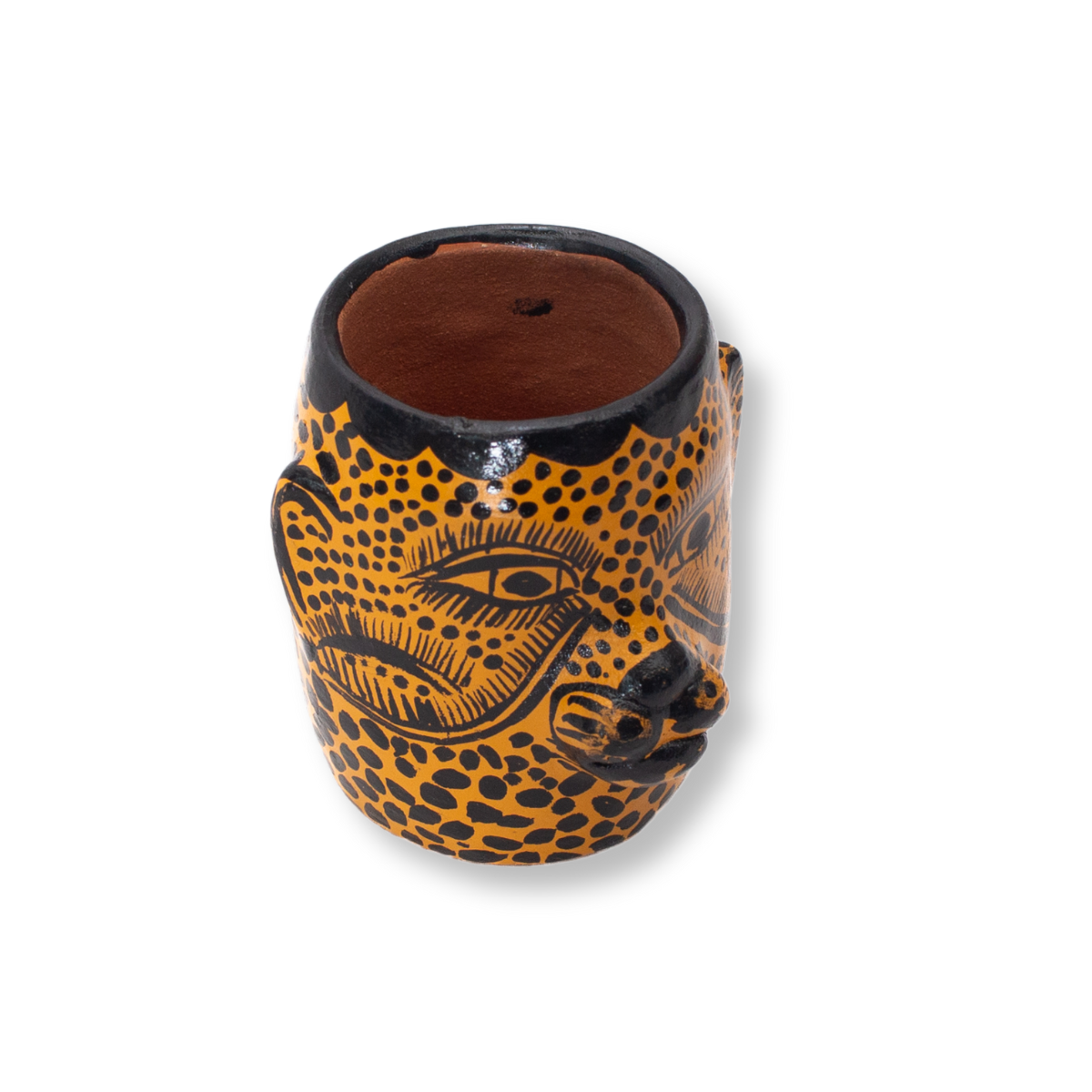 TEQUILERO JAGUAR CARITA