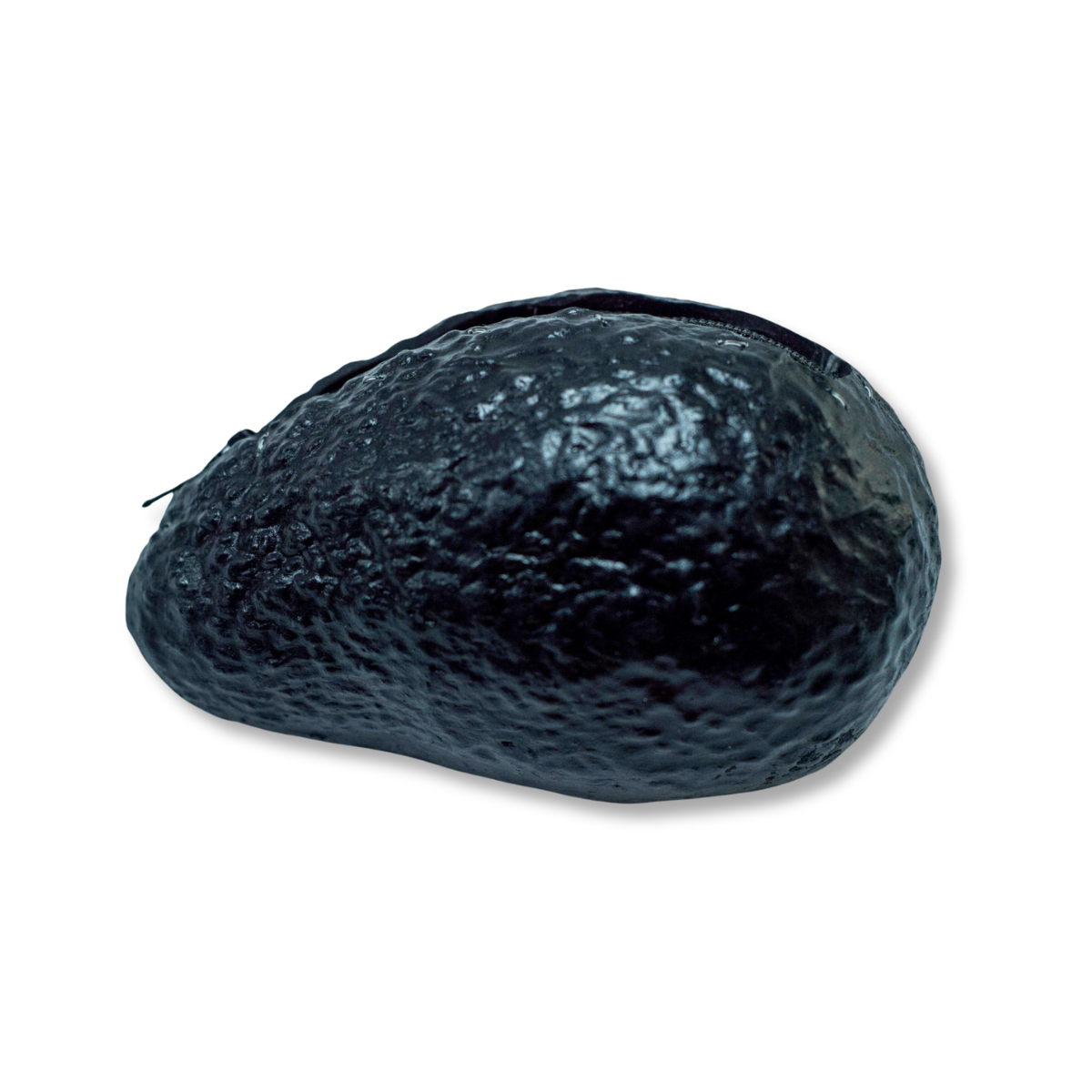 MONEDERO AGUACATE