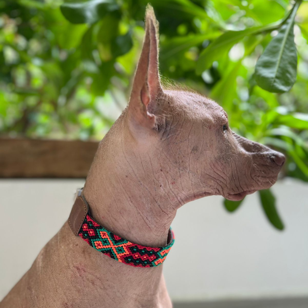 COLLAR MEXICO
