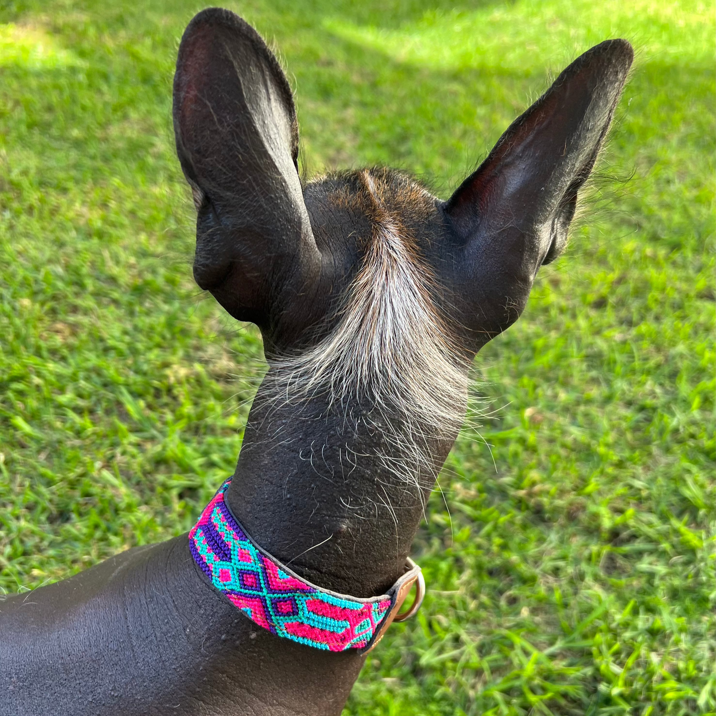 COLLAR TULUM