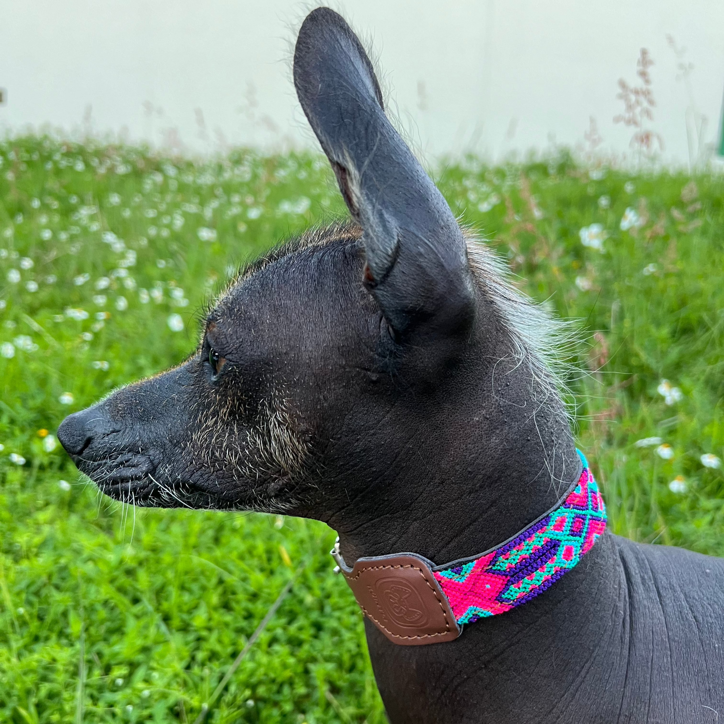 COLLAR TULUM