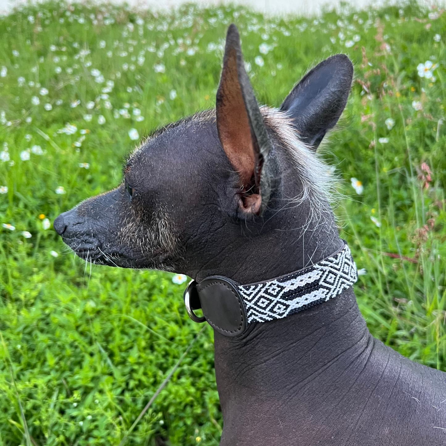 COLLAR ISLA BLANCA
