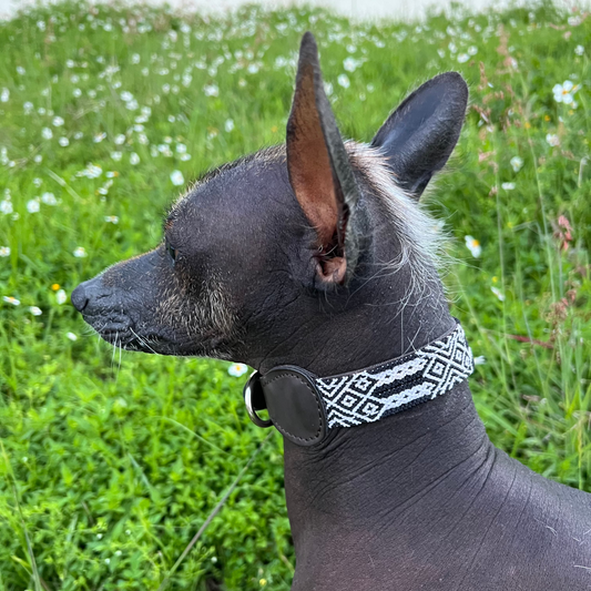 COLLAR ISLA BLANCA