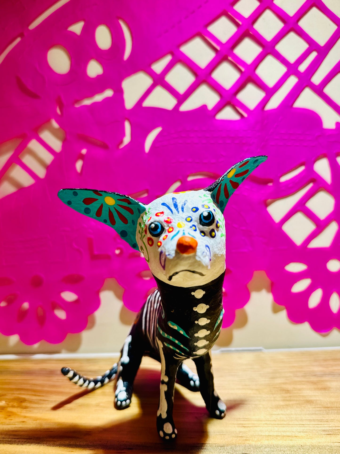 XOLO CALAVERITA