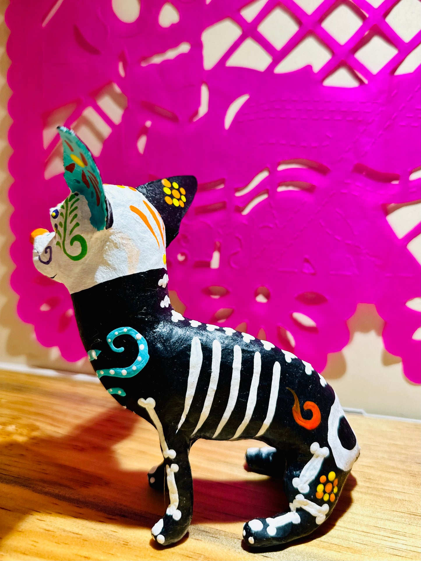 XOLO CALAVERITA