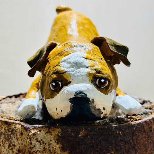BULLDOG YOGUI
