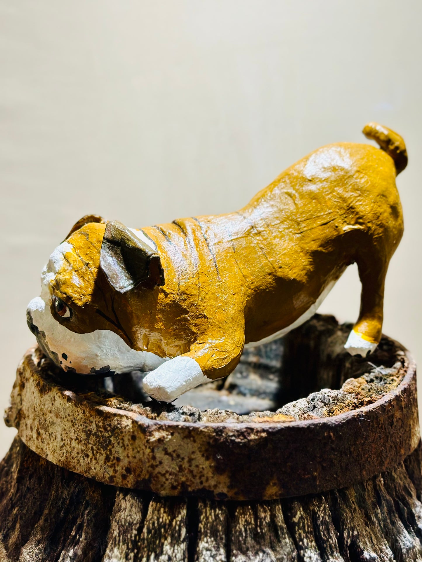 BULLDOG YOGUI