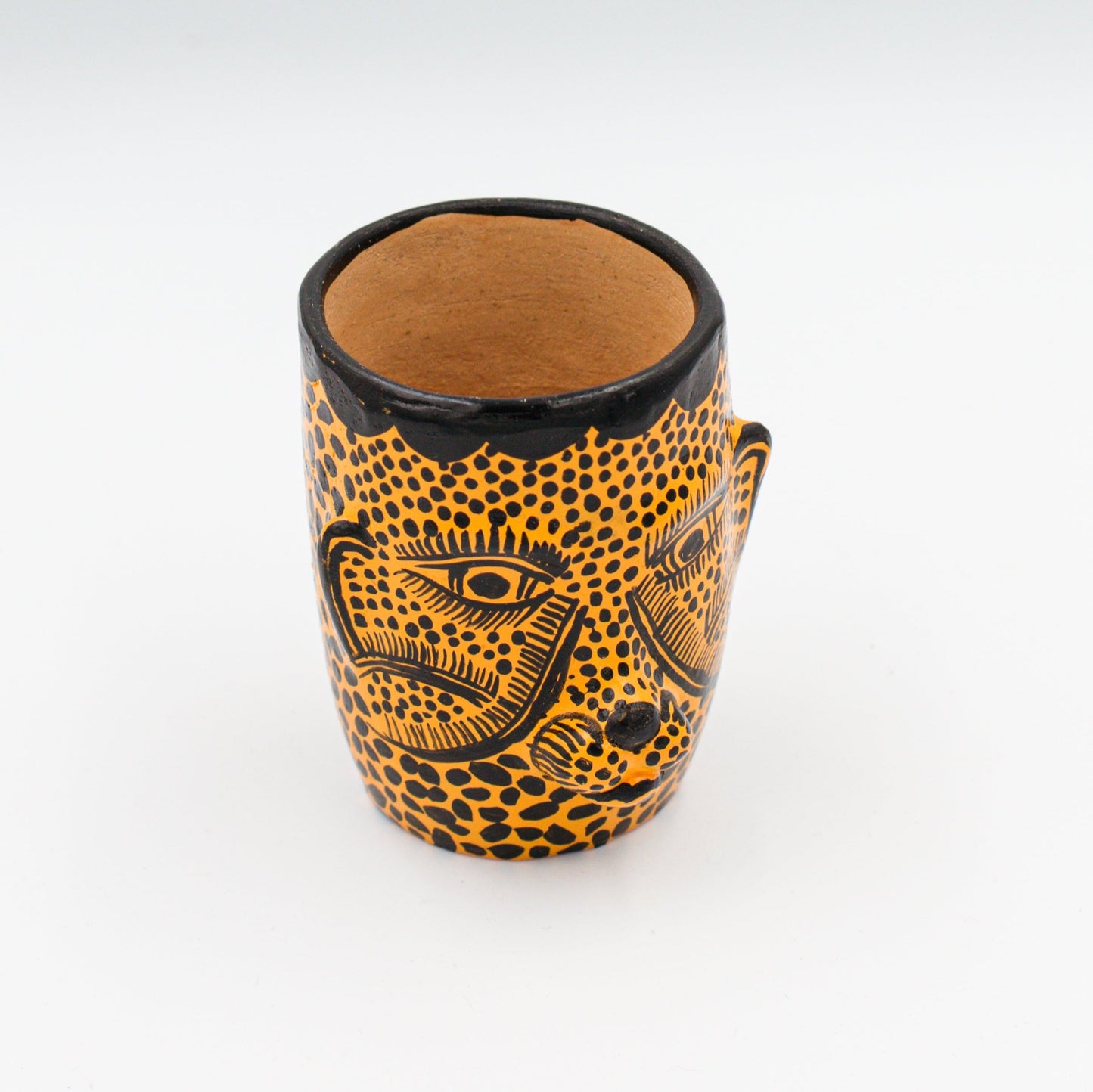 TEQUILERO JAGUAR CARITA